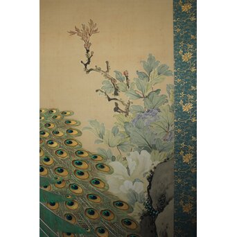 華堂筆 孔雀之図 大幅 絹本軸装 共箱　Z802 