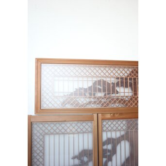 鶴松 書院欄間 5枚1組　R0536 ガラスとアクリルは区別がつきにくいです