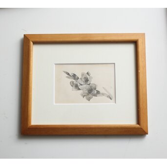 堀文子 墨絵『花』 Z817