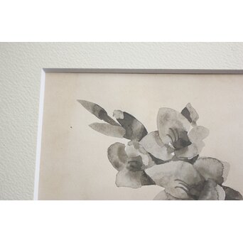 堀文子 墨絵『花』 Z817 