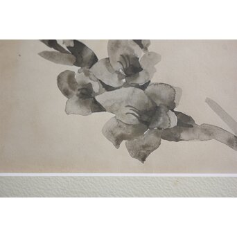 堀文子 墨絵『花』 Z817 