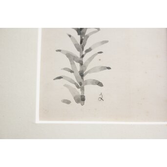 堀文子 墨絵『ひめゆり』 Z818 