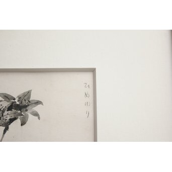 堀文子 墨絵『ひめゆり』 Z818 