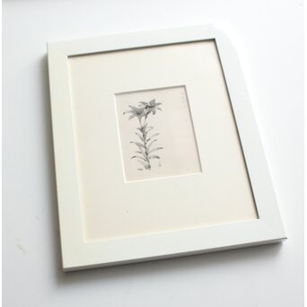 堀文子 墨絵『ひめゆり』 Z818 