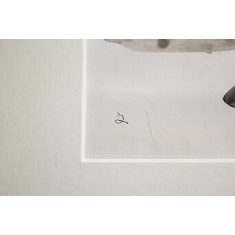 堀文子 墨絵『野菜』 Z821 