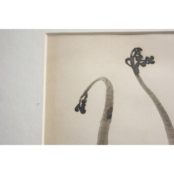 堀文子 墨絵『蕨』 Z822 