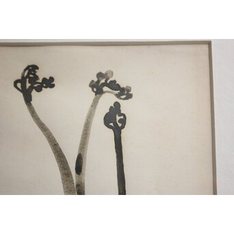 堀文子 墨絵『蕨』 Z822 