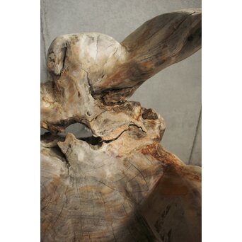 木塊 自然木台　X637 