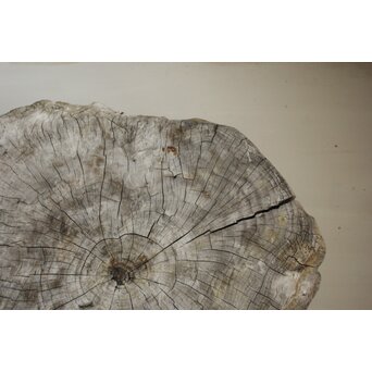 木塊 自然木台　X638 