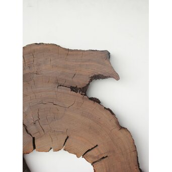 埋もれ木の天板　X639 