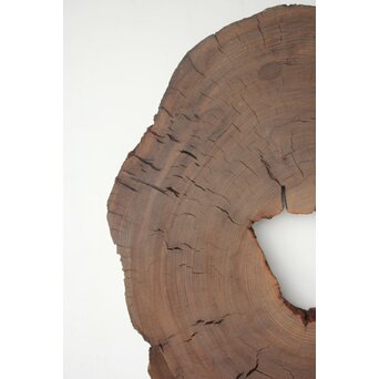 埋もれ木の天板　X639 