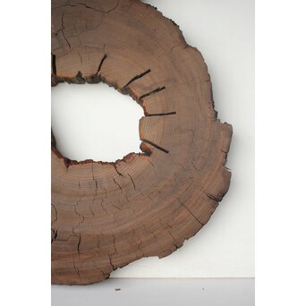 埋もれ木の天板　X639 