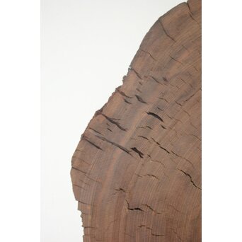 埋もれ木の天板　X639 