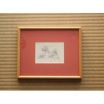 堀文子 墨絵『尾花』 Z827