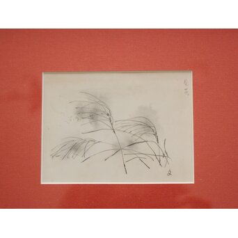 堀文子 墨絵『尾花』 Z827 