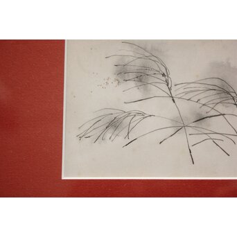 堀文子 墨絵『尾花』 Z827 