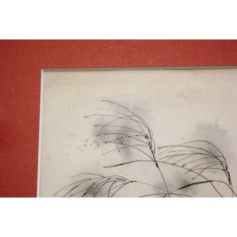 堀文子 墨絵『尾花』 Z827 