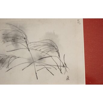 堀文子 墨絵『尾花』 Z827 