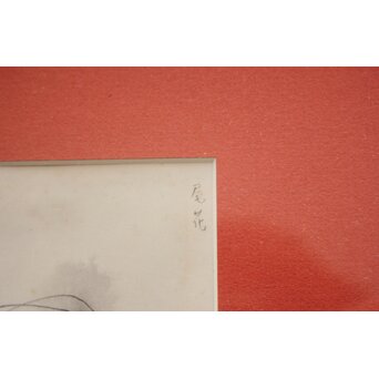 堀文子 墨絵『尾花』 Z827 