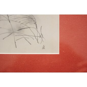 堀文子 墨絵『尾花』 Z827 