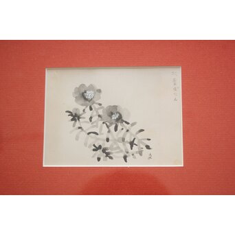 堀文子 墨絵『松葉ぼたん』 Z828 