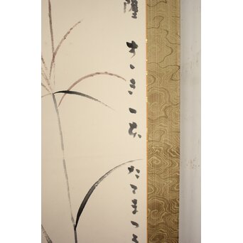 穐月明 【すすき一本】 紙本掛軸　Z833 