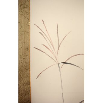 穐月明 【すすき一本】 紙本掛軸　Z833 