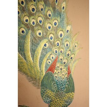 高島屋画室か 今尾景年下絵 孔雀図 刺繍絵画　Z846 