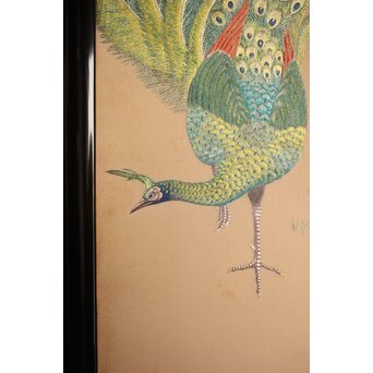 高島屋画室か 今尾景年下絵 孔雀図 刺繍絵画　Z846 