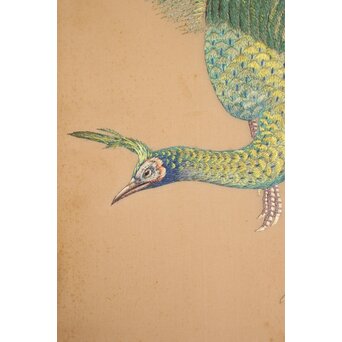 高島屋画室か 今尾景年下絵 孔雀図 刺繍絵画　Z846 