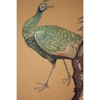 高島屋画室か 今尾景年下絵 孔雀図 刺繍絵画　Z846 