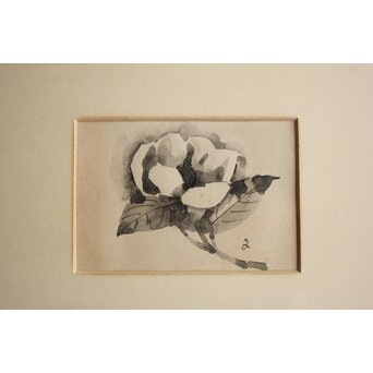 堀文子 墨絵『狸・花』3枚1組　 Z880 