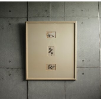 堀文子 墨絵『狸・花』3枚1組　 Z880