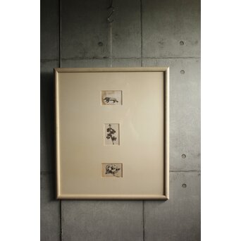 堀文子 墨絵『狸・花』3枚1組　 Z880 