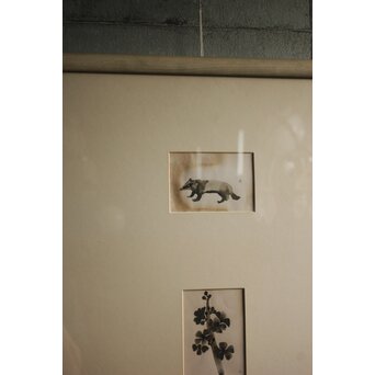 堀文子 墨絵『狸・花』3枚1組　 Z880 