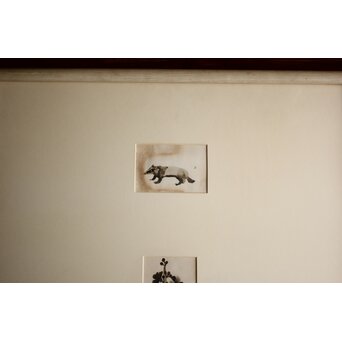 堀文子 墨絵『狸・花』3枚1組　 Z880 