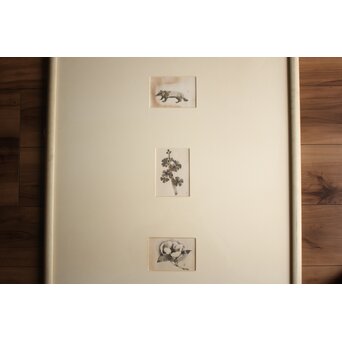 堀文子 墨絵『狸・花』3枚1組　 Z880 