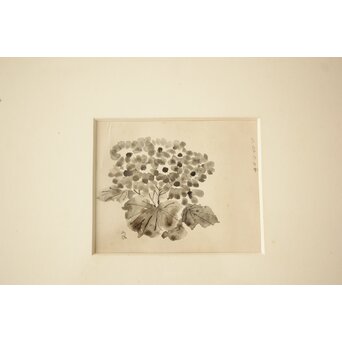 堀文子 墨絵『人物・花』ほか 4枚1組　Z886 