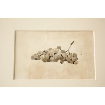 堀文子 墨絵『人物・花』ほか 4枚1組　Z886 