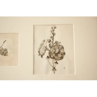 堀文子 墨絵『人物・花』ほか 4枚1組　Z886 