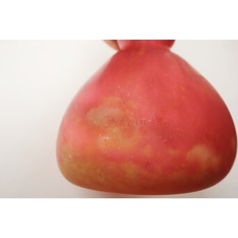 ドームナンシー Daum Nancy 鶴首花瓶　Y069 