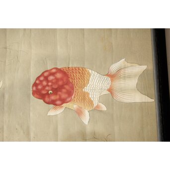 金魚図 額装　Z910 