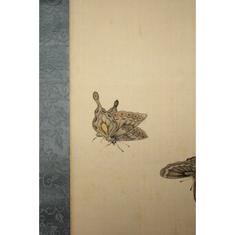 渡辺清 群蝶図 紙本掛軸　Z935 