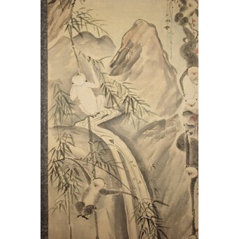 狩野探幽意 石舟筆 群猿図 紙本掛軸　Z939 