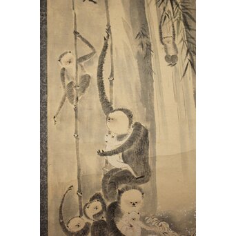 狩野探幽意 石舟筆 群猿図 紙本掛軸　Z939 