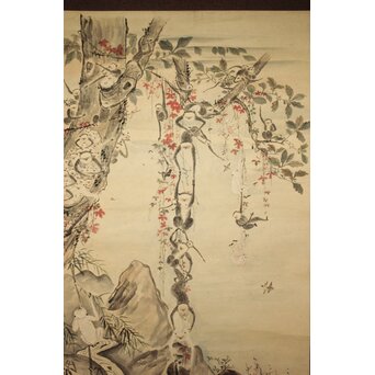 狩野探幽意 石舟筆 群猿図 紙本掛軸　Z939 