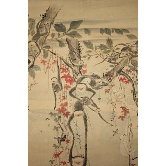 狩野探幽意 石舟筆 群猿図 紙本掛軸　Z939 