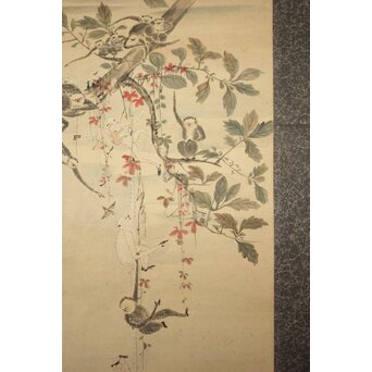 狩野探幽意 石舟筆 群猿図 紙本掛軸　Z939 