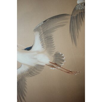 堀田秀叢 五位鷺図 屏風　Z955 