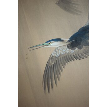 堀田秀叢 五位鷺図 屏風　Z955 